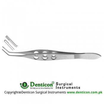 Alfonso Nucleas Grasping Forcep With Two Short Rows of Delicate Interlocking Teeth Stainless Steel, 10.5 cm - 4"